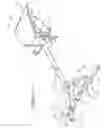 Fig. 13 - HIGHCHAIR