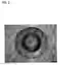 Fig. 03 - Method of manufacturing insulating target material