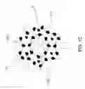 Fig. 04 - Device having multi-pores magneto-rubber filter