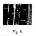 Fig. 07 - Separating components of aqueous mixtures, suspensions, and solutions