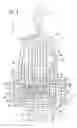 Fig. 13 - Fluid dispenser