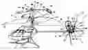 Fig. 01 - Helicopter