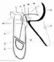 Fig. 01 - Conical cam