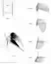 Fig. 02 - Conical cam