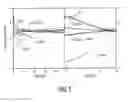 Fig. 02 - Electroluminescent composition without initial drop of efficiency