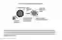 Fig. 23 - Resonant nanostructures and methods of use