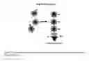 Fig. 25 - Resonant nanostructures and methods of use
