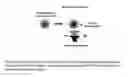 Fig. 28 - Resonant nanostructures and methods of use