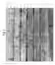 Fig. 06 - Gallium nitride-based compound semiconductor multilayer structure and production method thereof