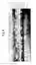 Fig. 07 - Gallium nitride-based compound semiconductor multilayer structure and production method thereof