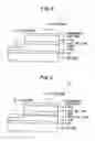 Fig. 03 - Light emitting apparatus and light emitting method