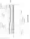 Fig. 04 - Integrated MIS photosensitive device using continuous films