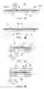 Fig. 09 - Semiconductor package structure and fabrication method thereof