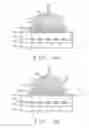 Fig. 04 - METHOD OF WIRE BONDING OVER ACTIVE AREA OF A SEMICONDUCTOR CIRCUIT