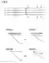 Fig. 05 - Semiconductor device including bus with signal lines