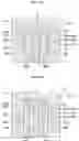 Fig. 07 - Mold and molding method