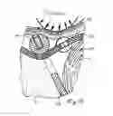 Fig. 09 - Thorax airbag device, seat provided with the same and method for activating said thorax airbag