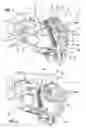 Fig. 02 - Steering column arrangement