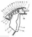 Fig. 01 - VEHICLE PILLAR GARNISH MOUNTING STRUCTURE