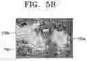 Fig. 07 - Field emission type backlight unit and method of manufacturing upper panel thereof