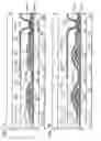 Fig. 08 - Light-emitting device and method for manufacturing light-emitting device