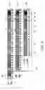 Fig. 04 - Modular I/O bank architecture