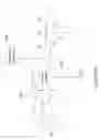 Fig. 11 - Output hold circuits for sample-data circuits