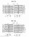 Fig. 13 - Image display and electronic device