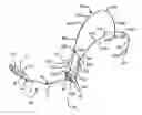 Fig. 01 - APPARATUS FOR HANDS-FREE SUPPORT OF A DEVICE IN FRONT OF A USER'S BODY
