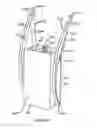 Fig. 17 - APPARATUS FOR HANDS-FREE SUPPORT OF A DEVICE IN FRONT OF A USER'S BODY