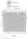 Fig. 04 - Rendering apparatus which parallel-processes a plurality of pixels, and data transfer method