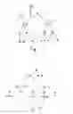 Fig. 28 - Method and tool for modifying a procedural map
