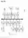 Fig. 35 - Image processing device, image processing method, and image processing program