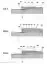 Fig. 07 - Liquid ejection head having improved durability against liquid, liquid cartridge having such a liquid ejection head, liquid ejection apparatus having such a liquid cartridge, image forming apparatus having such a liquid ejection apparatus, and manufacturing method of liquid ejecting head