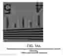 Fig. 28 - Method and apparatus for adaptive and self-calibrated sensor green channel gain balancing