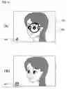 Fig. 13 - Control in a digital camera having a preview function
