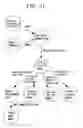 Fig. 12 - Projection type image-displaying system, projection type image-displaying apparatus, and lamp lighting-controlling method