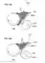 Fig. 19 - Process and apparatus for forming pattern