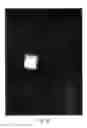 Fig. 29 - Optical authentication