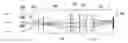 Fig. 01 - High-density channels detecting device