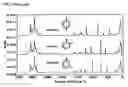 Fig. 02 - Optochemical sensor