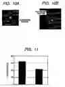 Fig. 09 - Tunnel-type magnetic detecting element and method of manufacturing the same