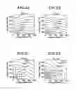 Fig. 06 - Plasma etching method and computer-readable storage medium
