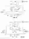 Fig. 16 - METHOD AND APPARATUS FOR EVALUATING AND OPTIMIZING A SIGNALING SYSTEM