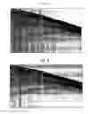Fig. 06 - Methods and systems for efficiently acquiring towed streamer seismic surveys