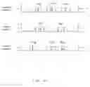 Fig. 09 - Quiet periods for detecting wireless devices