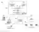 Fig. 01 - Apparatus and method for handling call features activated by POTS phones in an IP multimedia subsystem