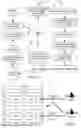 Fig. 09 - Behavior Management Systems