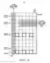 Fig. 04 - Method and apparatus for conveying control channel information in OFDMA system