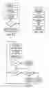 Fig. 07 - System and method for transporting unaltered optical data stream